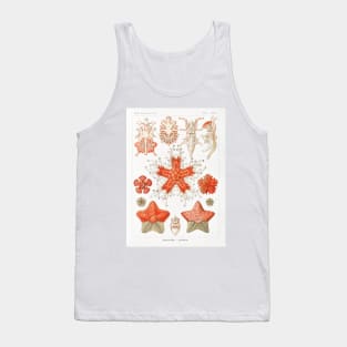 Asteridea - Ernst Haeckel Tank Top